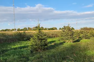 2051 120th St, Balaton, MN 56115 - Photo 34