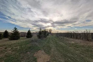 2051 120th St, Balaton, MN 56115 - Photo 50