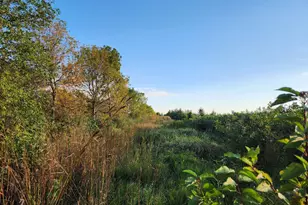 2051 120th St, Balaton, MN 56115 - Photo 26