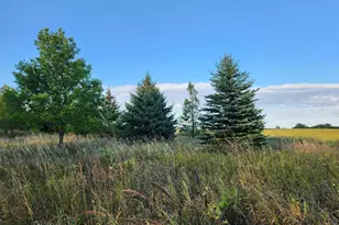 2051 120th St, Balaton, MN 56115 - Photo 26