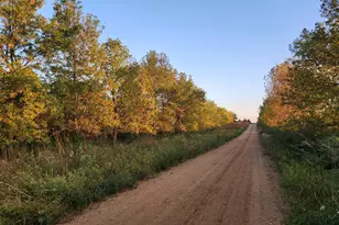 2051 120th St, Balaton, MN 56115 - Photo 18