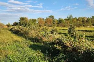 2051 120th St, Balaton, MN 56115 - Photo 38
