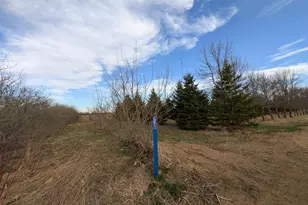 2051 120th St, Balaton, MN 56115 - Photo 52