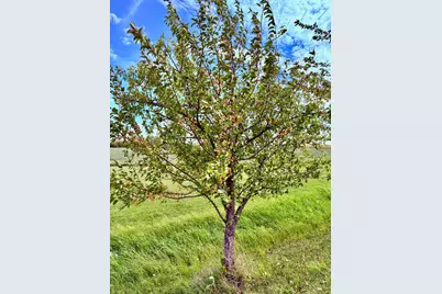 1401 State Highway 11 SW, Spooner Twp, MN 56623 - Photo 10