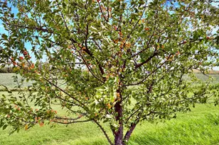 1401 State Hwy 11 SW, Baudette, MN 56623 - Photo 10