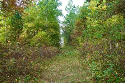 21.8 Acres Hwy 371, Brainerd, MN 56401 - Photo 6