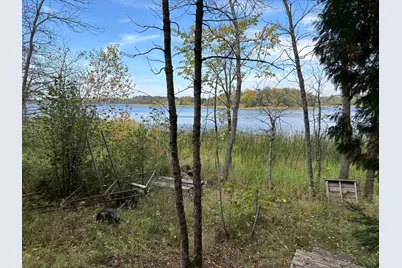 11347 Lupine Way NE, Turtle River, MN 56601 - Photo 68