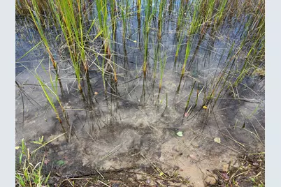 11347 Lupine Way NE, Bemidji, MN 56601 - Photo 72