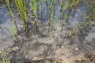 11347 Lupine Way NE, Bemidji, MN 56601 - Photo 72