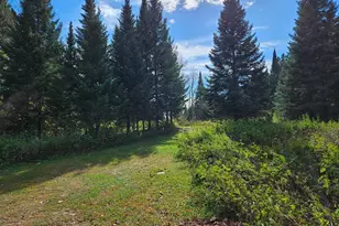 Lt 3 Blk 1 County Rd 238, Deer River, MN 56636 - Photo 1