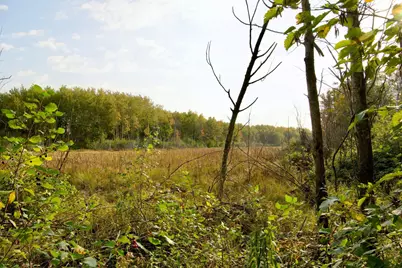 Tract A Hwy 371, Brainerd, MN 56401 - Photo 10
