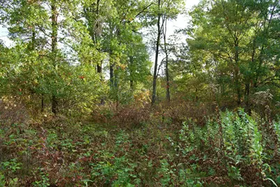 Tract A Hwy 371, Brainerd, MN 56401 - Photo 4