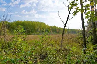 Tract A Hwy 371, Brainerd, MN 56401 - Photo 8