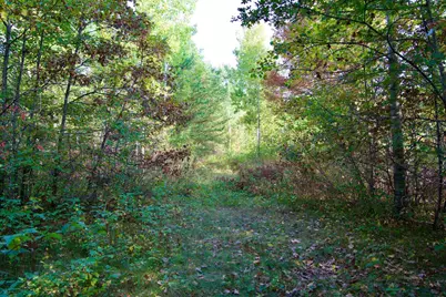 Tract A Hwy 371, Brainerd, MN 56401 - Photo 12