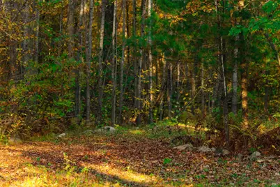 3108 Blackbird Road NE, Cass Lake, MN 56633 - Photo 34