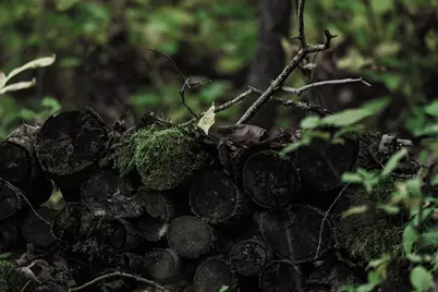 3108 Blackbird Road NE, Cass Lake, MN 56633 - Photo 30