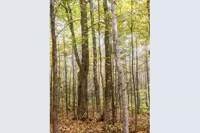 Tbd Bear Lake Road, Butternut, WI 54514 - Photo 8