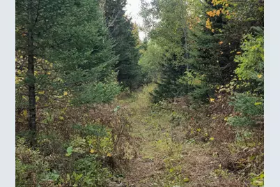 Tbd Bear Lake Road, Butternut, WI 54514 - Photo 4