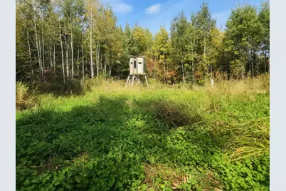 Tbd Bear Lake Road, Butternut, WI 54514 - Photo 6