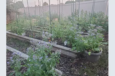 6848 Polaris Lane N, Maple Grove, MN 55311 - Photo 26