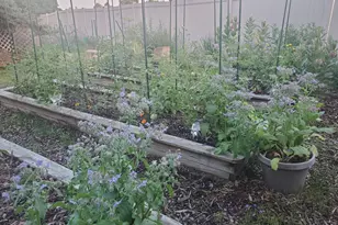 6848 Polaris Ln N, Maple Grove, MN 55311 - Photo 26