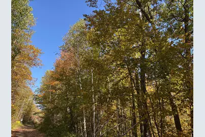 Tbd County Road 12, Akeley, MN 56433 - Photo 1