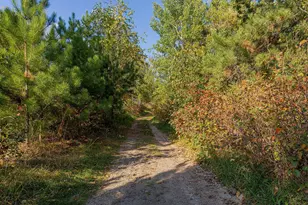 8011 Birchmont Beach Rd NE, Bemidji, MN 56601 - Photo 40