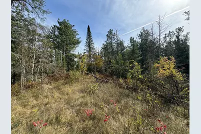 Tbd 243rd Avenue, Shevlin, MN 56676 - Photo 4