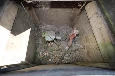 33395 340th Avenue SW, Roome Twp, MN 56523 - Photo 26