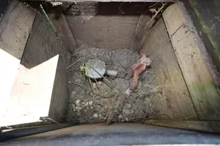 33395 340th Ave SW, Roome Twp, MN 56523 - Photo 26