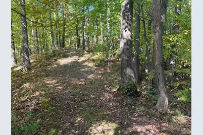 Tbd2 Deep Lake Road, Sarona, WI 54870 - Photo 4