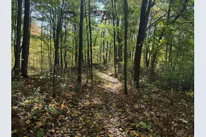 Tbd2 Deep Lake Road, Sarona, WI 54870 - Photo 6