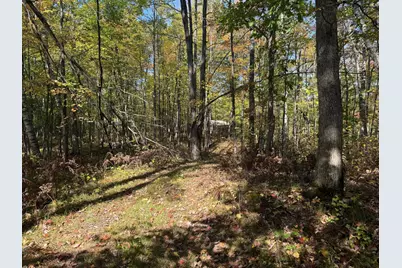 Tbd2 Deep Lake Road, Sarona, WI 54870 - Photo 8