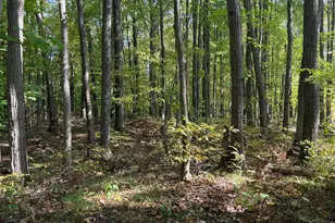 Tbd2 Deep Lake Rd, Sarona, WI 54870 - Photo 1