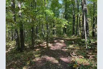 Tbd2 Deep Lake Road, Sarona, WI 54870 - Photo 12