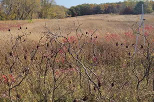 Tbd 447th Av, Ottertail, MN 56571 - Photo 1