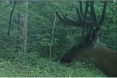 Tbd151 River Road, Saint Croix Falls, WI 54024 - Photo 78