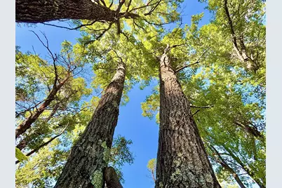 Tbd151 River Road, Saint Croix Falls, WI 54024 - Photo 52