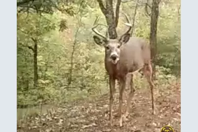 Tbd151 River Road, Saint Croix Falls, WI 54024 - Photo 84