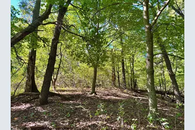 Tbd151 River Road, Saint Croix Falls, WI 54024 - Photo 58