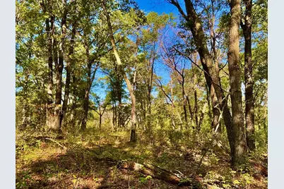 Tbd151 River Road, Saint Croix Falls, WI 54024 - Photo 48