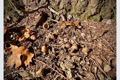 Tbd151 River Road, Saint Croix Falls, WI 54024 - Photo 50