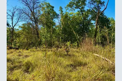 Tbd151 River Road, Saint Croix Falls, WI 54024 - Photo 38