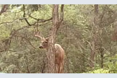 Tbd151 River Road, Saint Croix Falls, WI 54024 - Photo 82