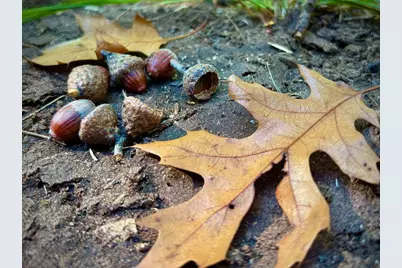 Tbd151 River Road, Saint Croix Falls, WI 54024 - Photo 60