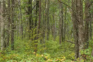 Lot A Sandbar Ln, Merrifield, MN 56465 - Photo 1