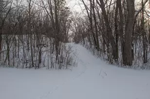 9350 Barnes Ave, Inver Grove Heights, MN 55077 - Photo 24