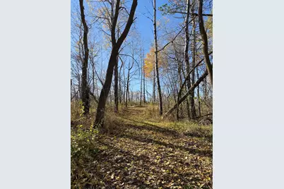 46813 209th Avenue, Clearbrook, MN 56634 - Photo 26