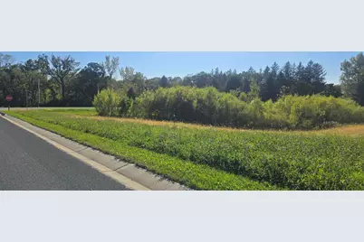 Tbd ( Lot 1, Blk 1) 3rd Avenue SE, Harmony, MN 55939 - Photo 2