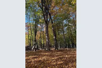 999 Porcupine Trail, Aitkin, MN 56431 - Photo 8